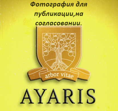 Хуснуллин Наиль Фаритович